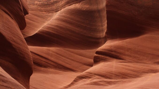 tmp_9eakzdq_pexels-photo-339150