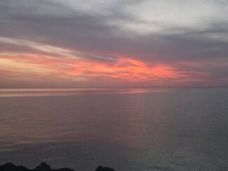 canlı casino-featured