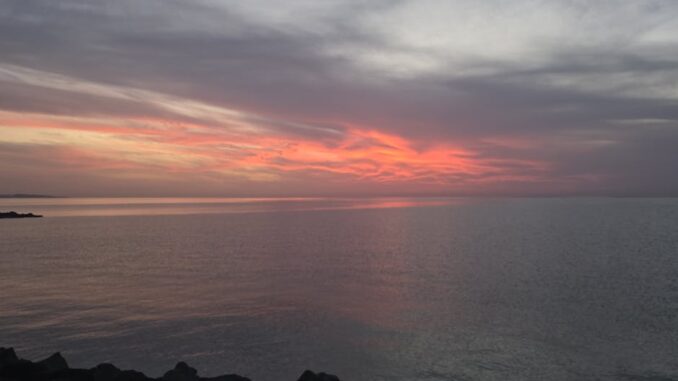 canlı casino-featured