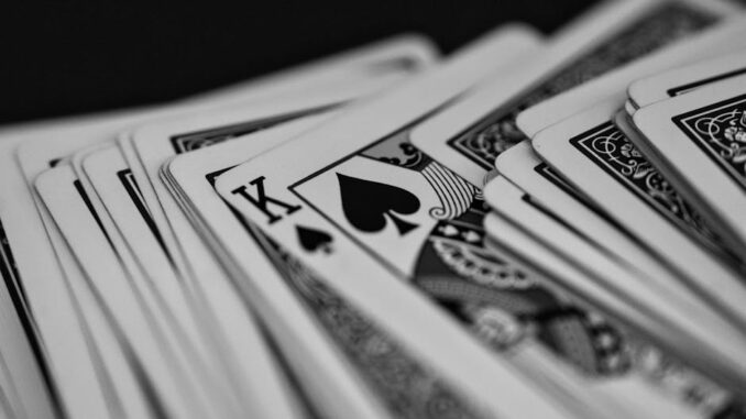 tmp_p9r4hrx_pexels-photo-22880098