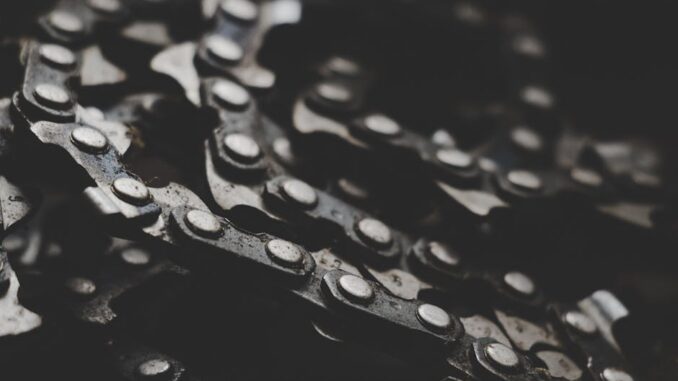 tmpwggrq1mm_pexels-photo-886601
